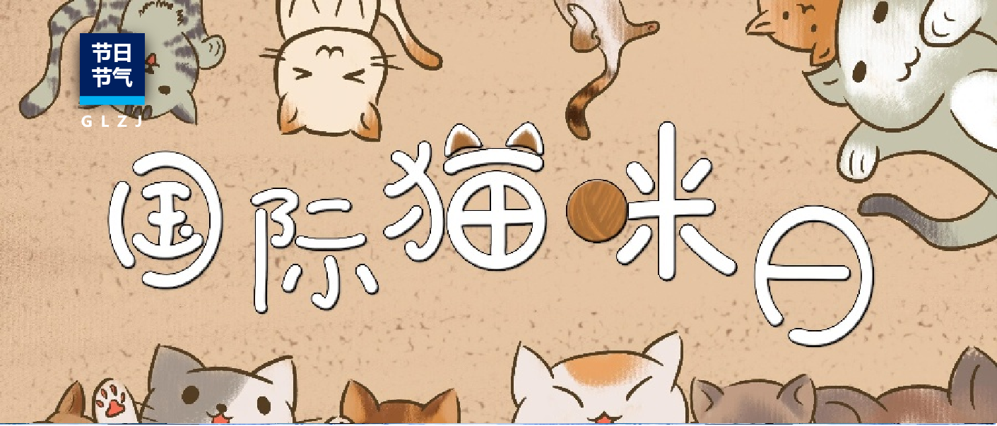 国际猫咪日 | 科学守护“喵健全”，从读懂猫粮检测汇报起头