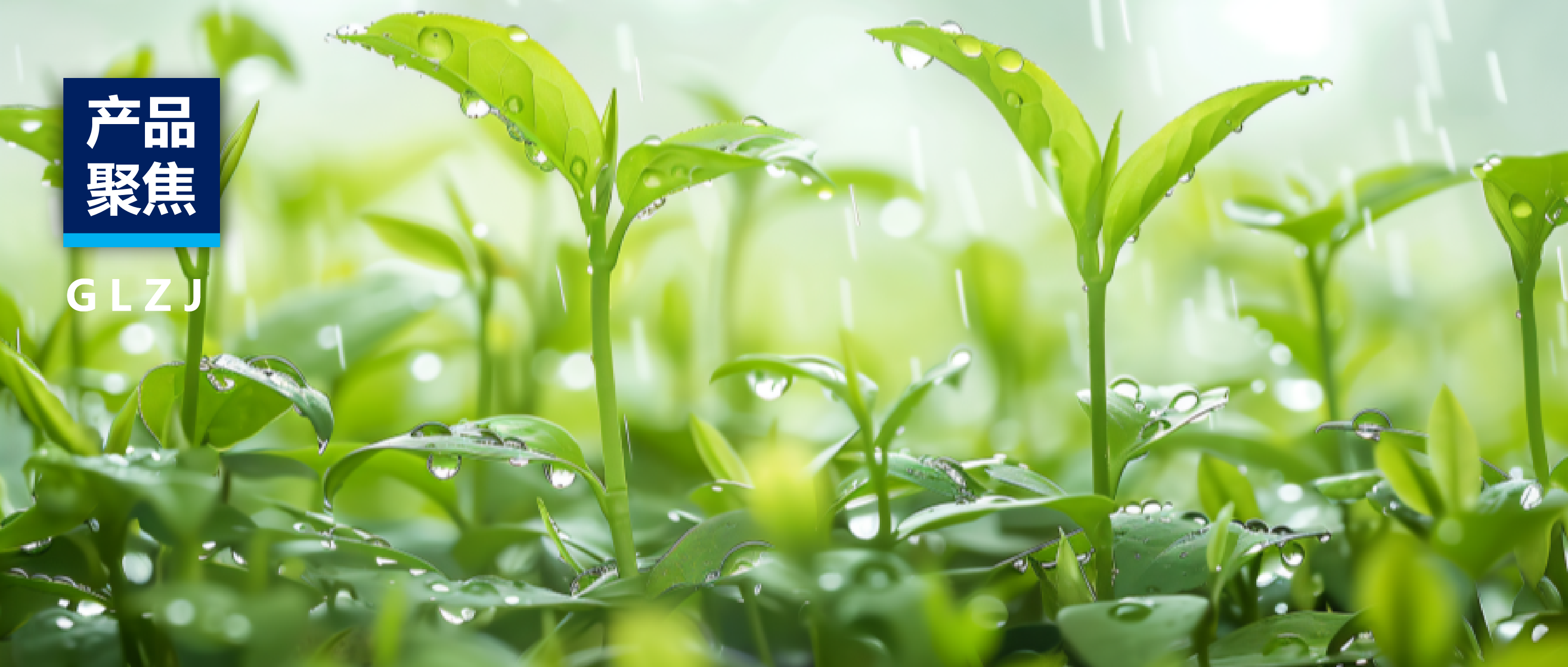 产品聚焦 | 亿万先生MR质检提供一站式茶叶解决规划